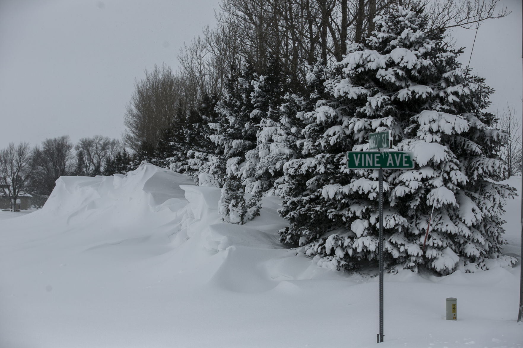 Blizzard 9